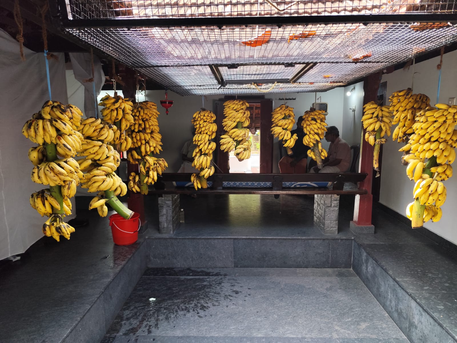 Temple view 3